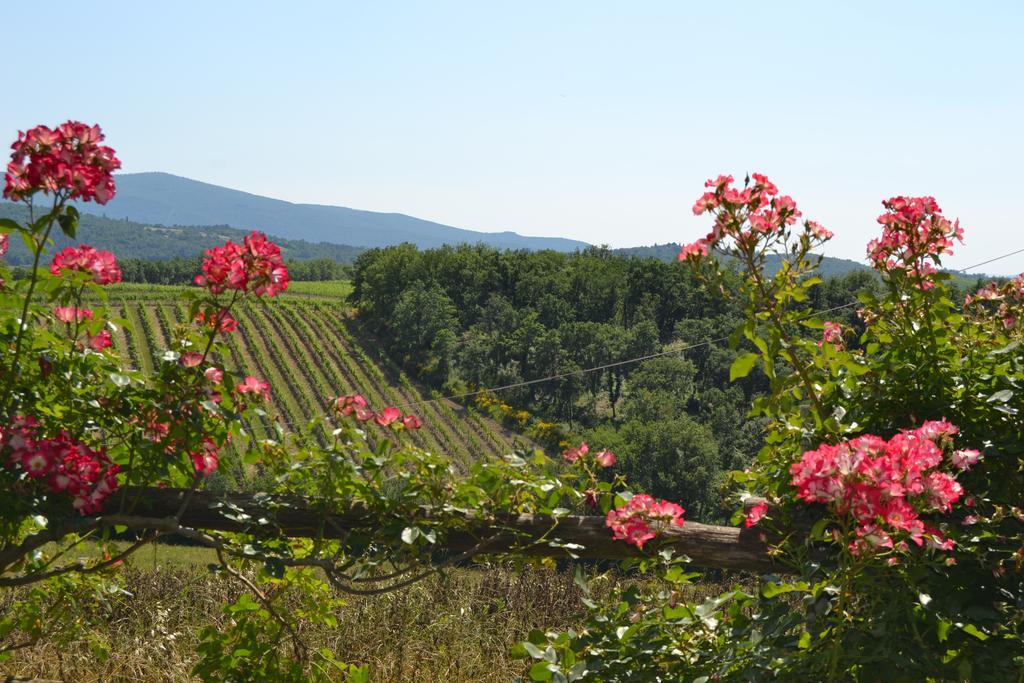 Agriturismo Cignanbianco カステッリーナ・イン・キアンティ シエナ エクステリア 写真